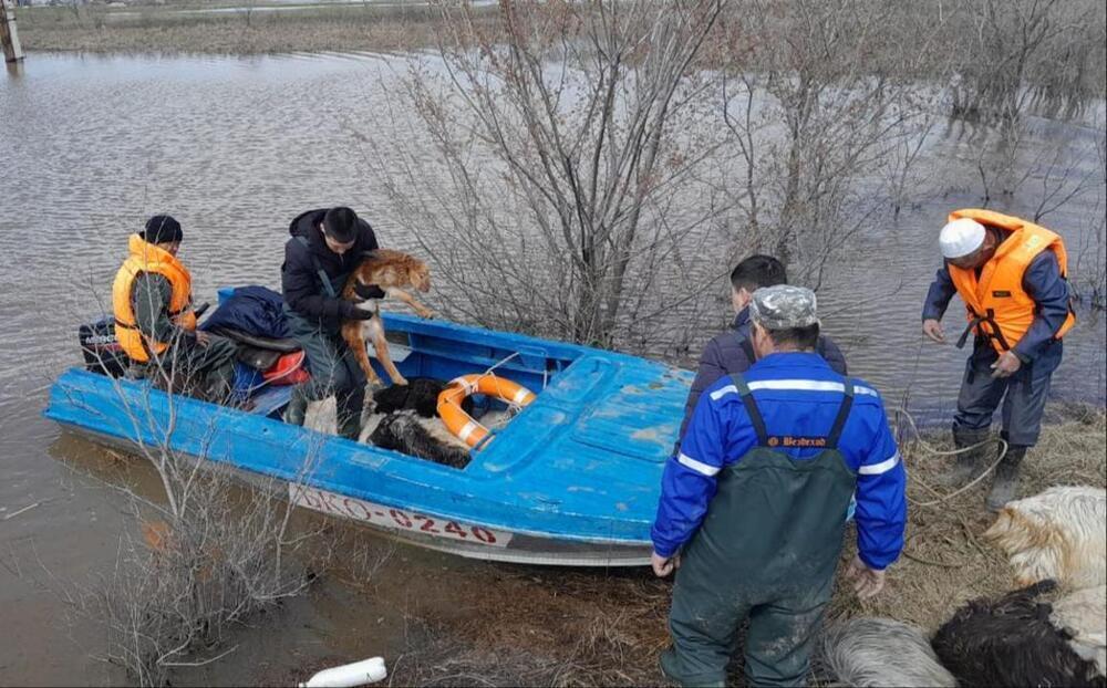 Over 12,000 people evacuated in N Kazakhstan due to massive floods