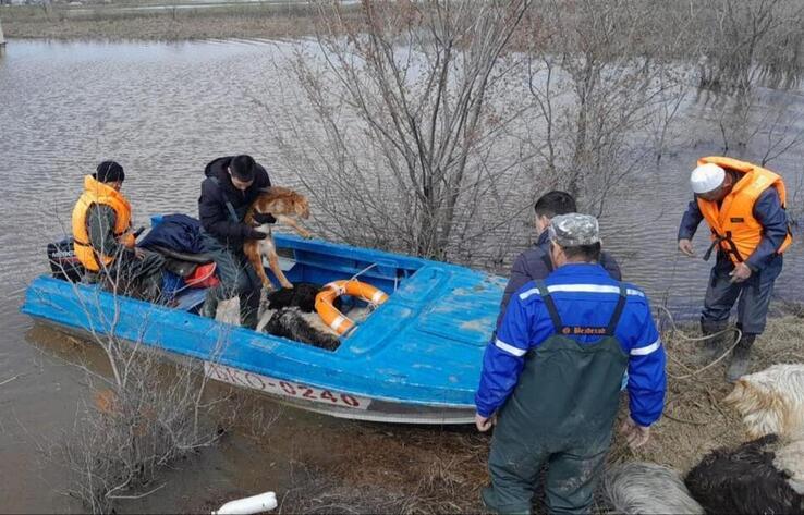 Over 12,000 people evacuated in N Kazakhstan due to massive floods