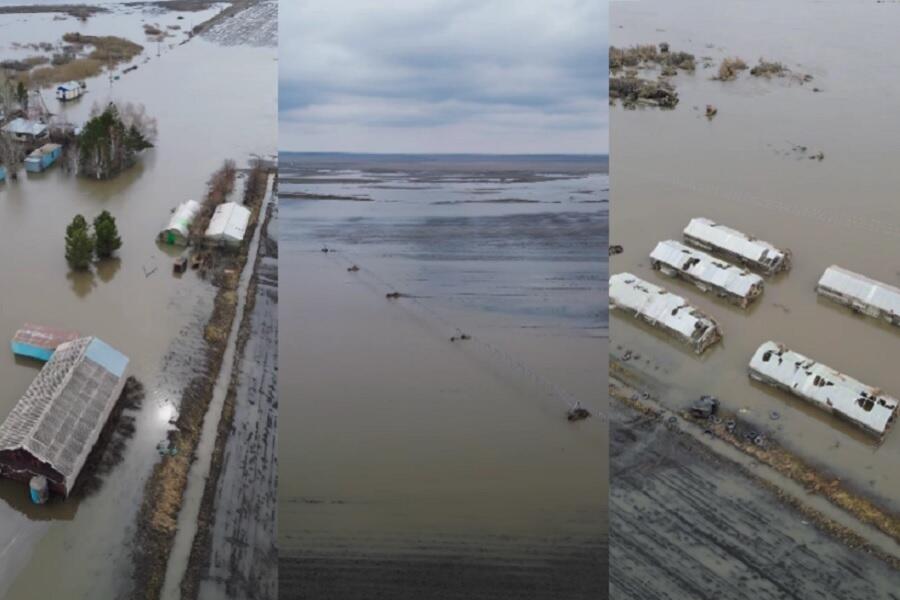 Как будут возмещать ущерб от паводков казахстанским фермерам: Минсельхоз опубликовал правила