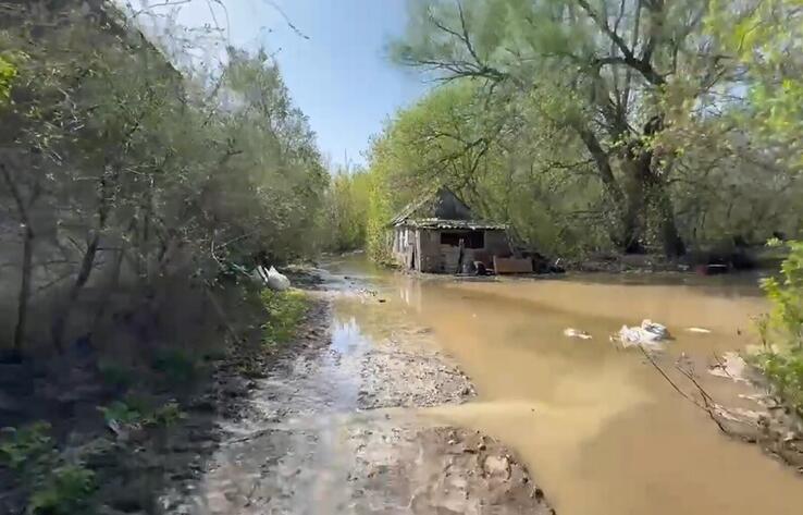 Река Жайык начала топить дачи близ Уральска