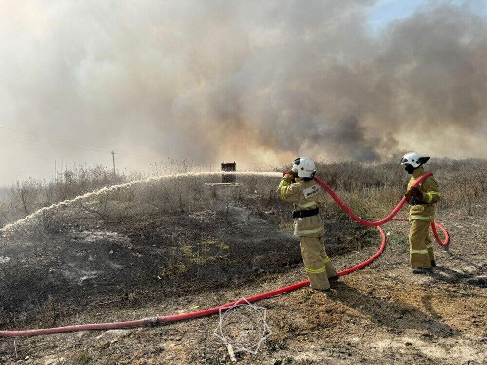 По факту природного пожара в Алматинской области возбуждено уголовное дело 