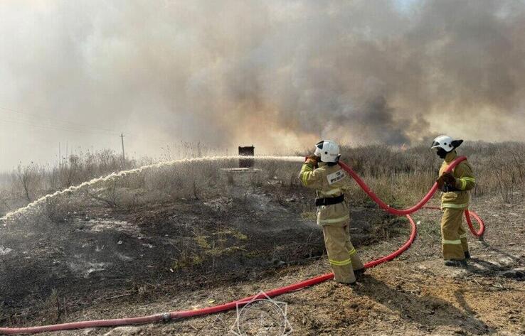 Алматы облысында табиғи өрт фактісі бойынша қылмыстық іс қозғалды
