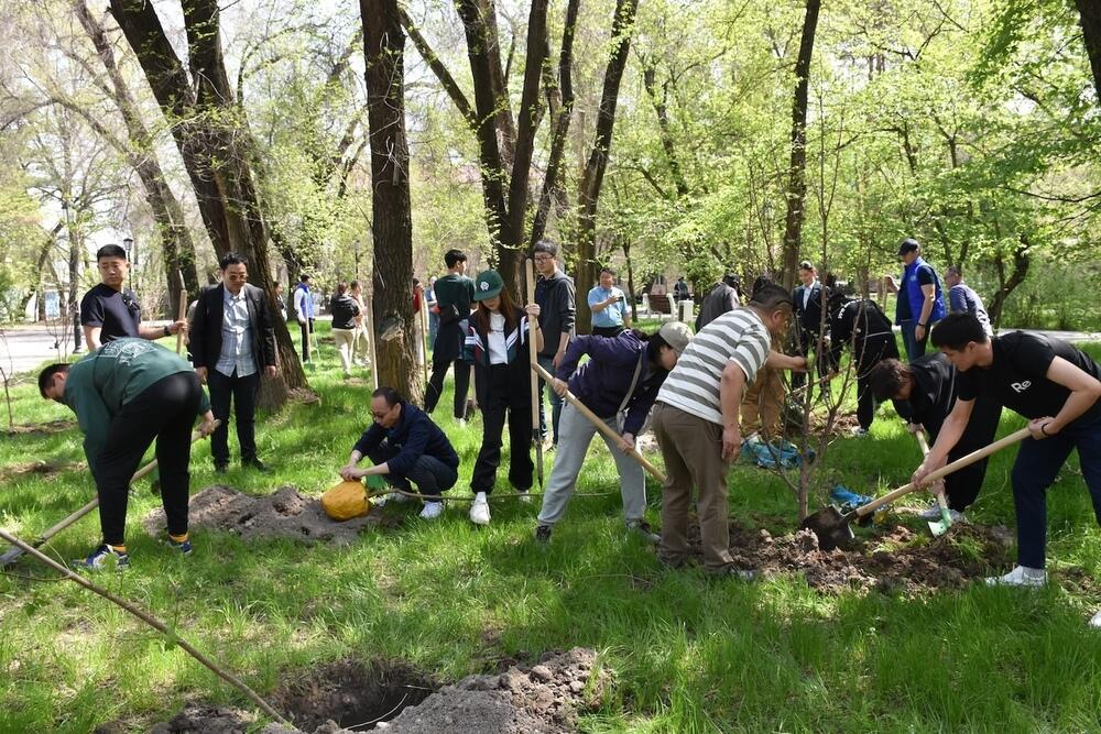 В Алматы прошла акция по посадке деревьев дружбы