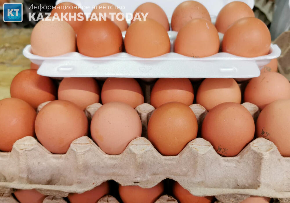 В Казахстане вводят временный запрет на ввоз куриных яиц 
