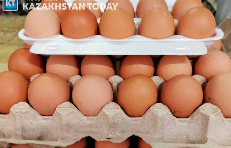 В Казахстане вводят временный запрет на ввоз куриных яиц 