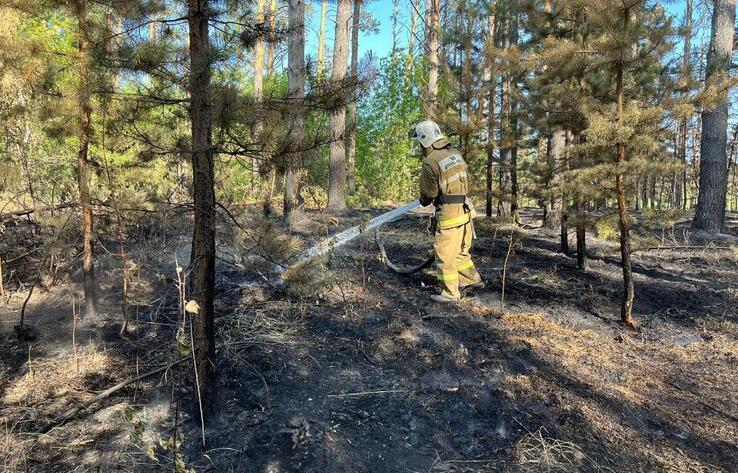 Пожар в резервате "Семей орманы" потушили спустя трое суток 