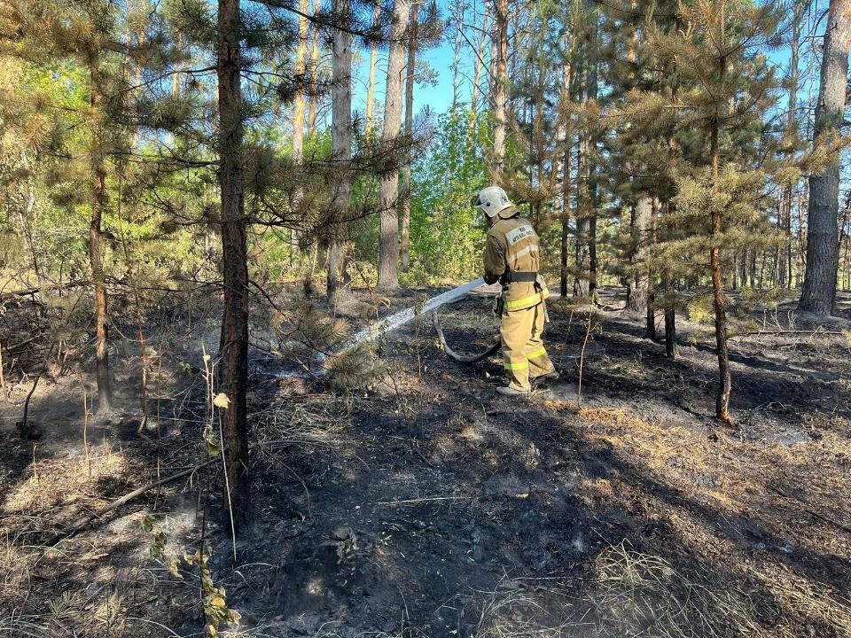 Пожар в резервате "Семей орманы" потушили спустя трое суток 