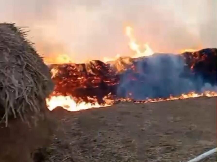 Сотни тонн сена загорелись в Атырауской области