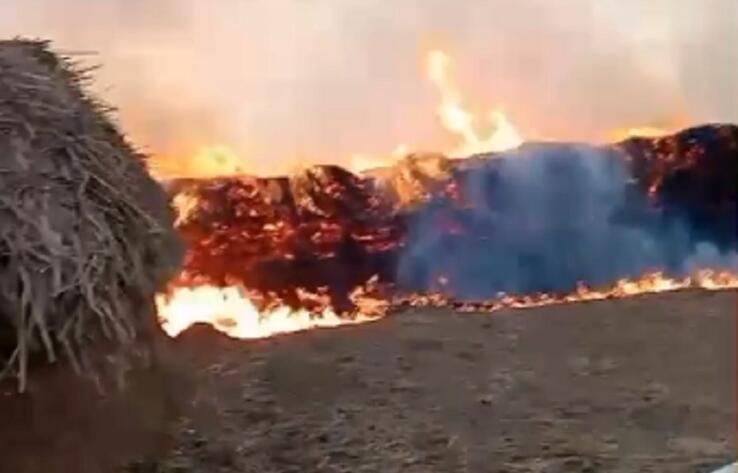 Сотни тонн сена загорелись в Атырауской области