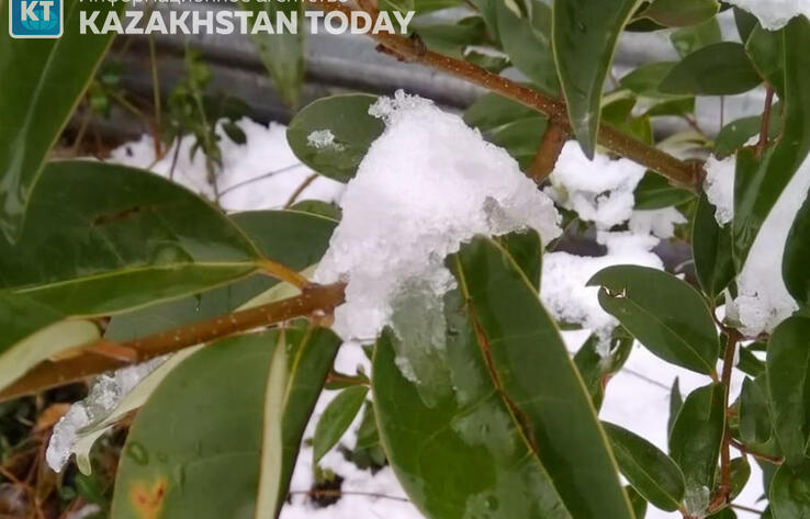 Қазақстанда тағы күн суытады