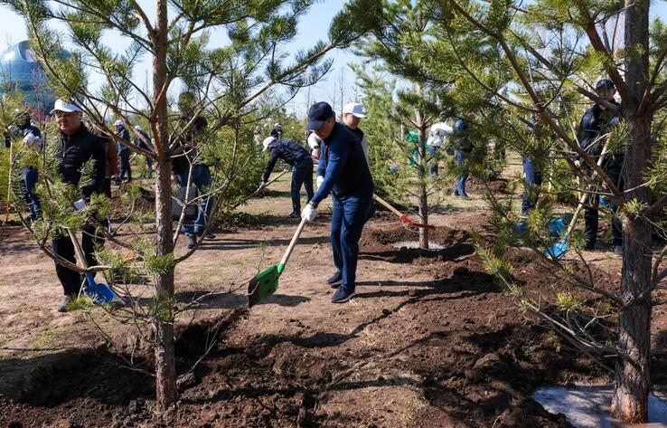 Government Apparatus takes part in Astana city-wide clean-up day