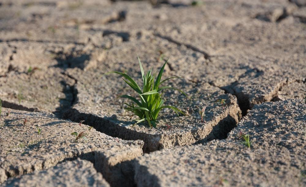 Засуха грозит в мае трем регионам Казахстана 