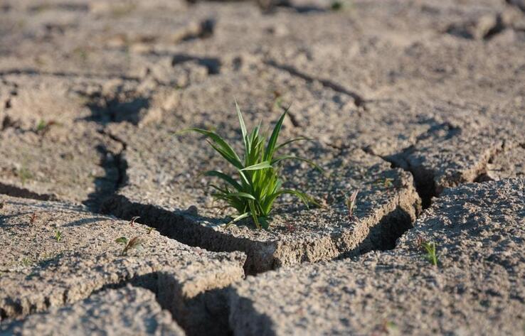 Засуха грозит в мае трем регионам Казахстана 