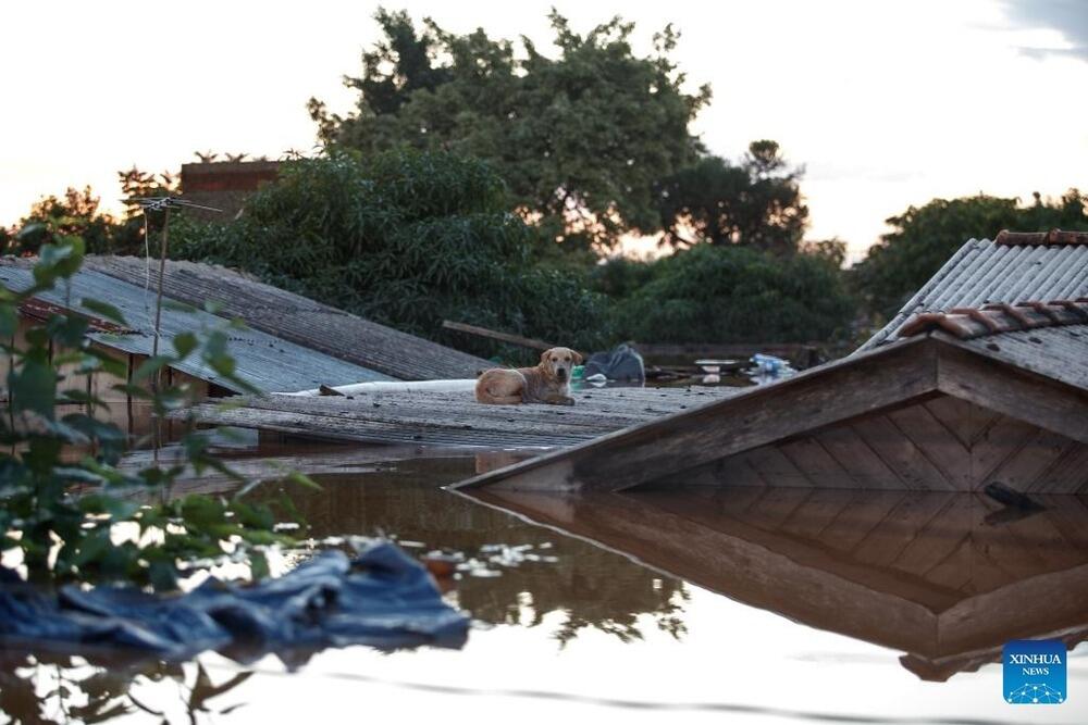 Катастрофическое наводнение в Бразилии: погибло более 70 человек  . Фото: Claudia Martini/Xinhua