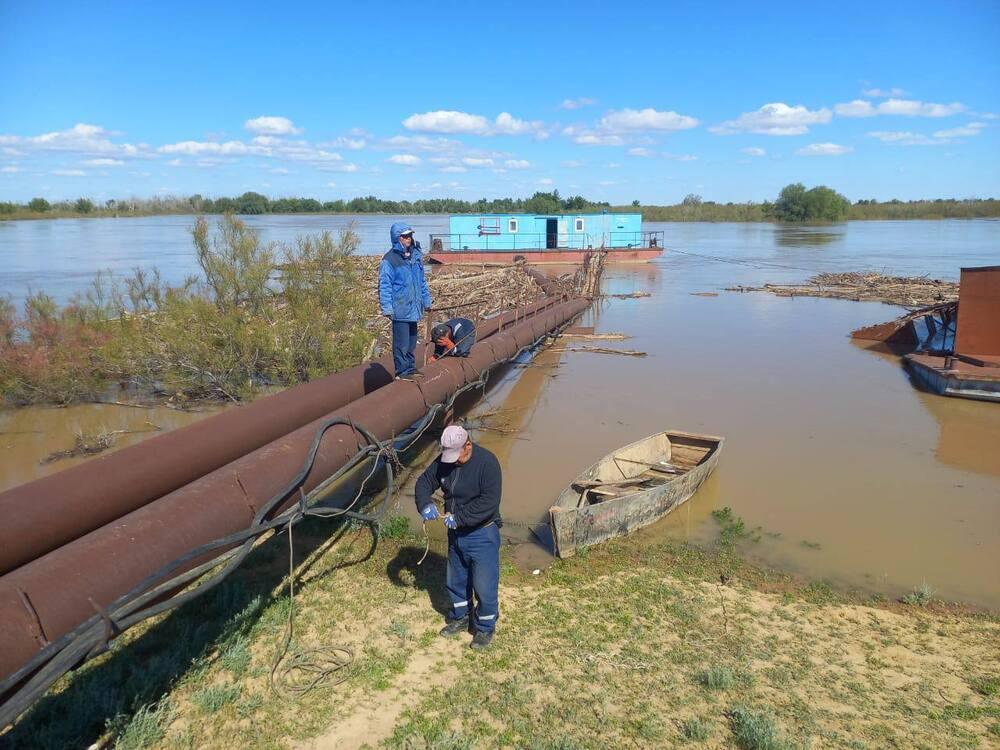 В Атырауской области паводковую воду направили на полив сенокосных угодий