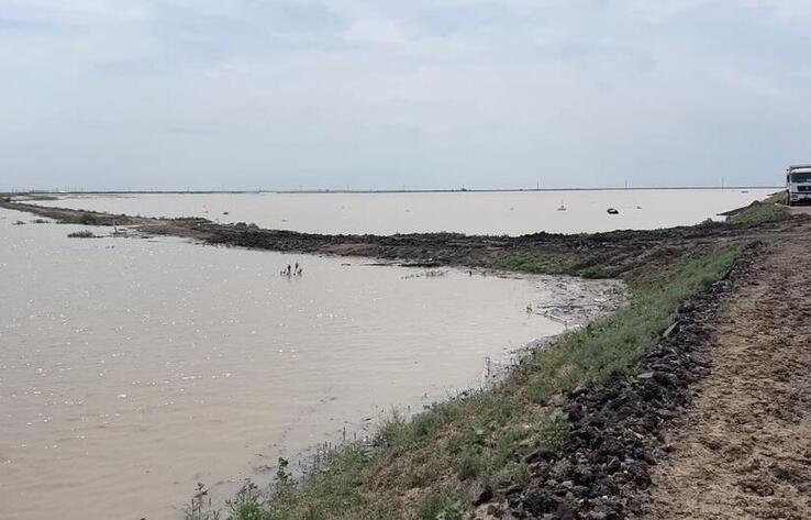 Жайық өзеніндегі су деңгейі қауіпті белгілерден асып түсті: премьер-министр бірқатар тапсырмалар берді
