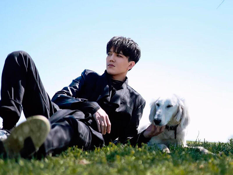 Dimash Kudaibergen shows tazy dog presented to him by President Tokayev. Images | instagram/kudaibergenov.dimash