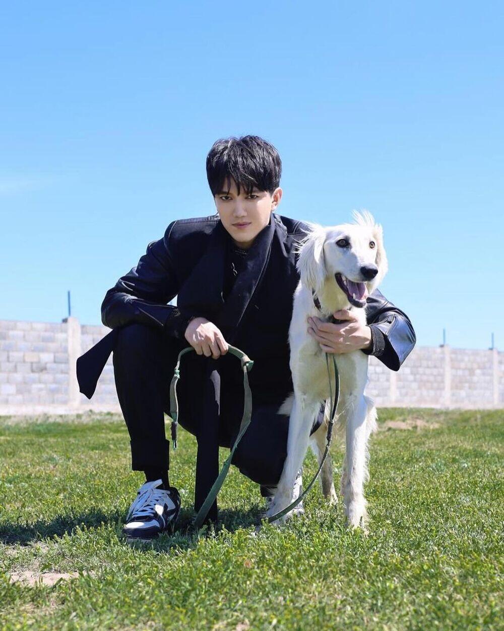 Dimash Kudaibergen shows tazy dog presented to him by President Tokayev. Images | instagram/kudaibergenov.dimash