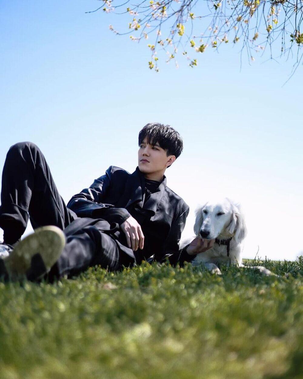 Dimash Kudaibergen shows tazy dog presented to him by President Tokayev. Images | instagram/kudaibergenov.dimash