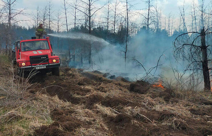 Wildfires in 2 regions of Kazakhstan destroyed 0.6% of country’s forests