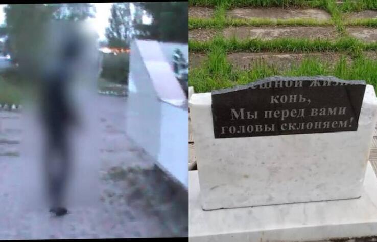 Разгромившего мемориал памяти вандала задержали в Акмолинской области