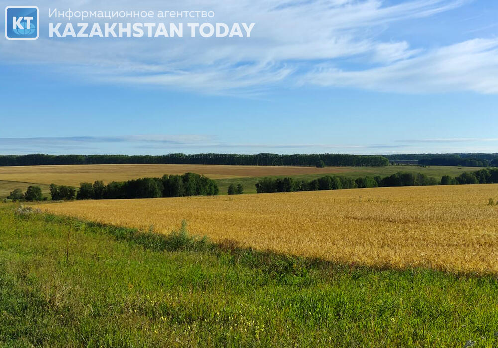 Construction of new water reservoirs in Kazakhstan to increase irrigated areas by 250,000 ha