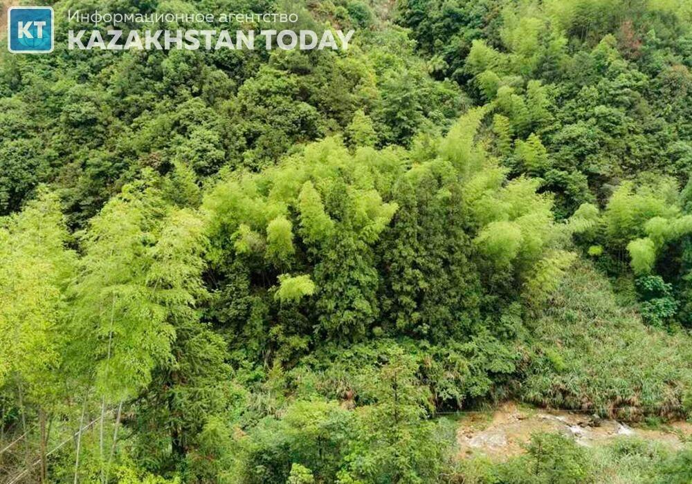 В Китае нашли способ построения экологической цивилизации в горном регионе