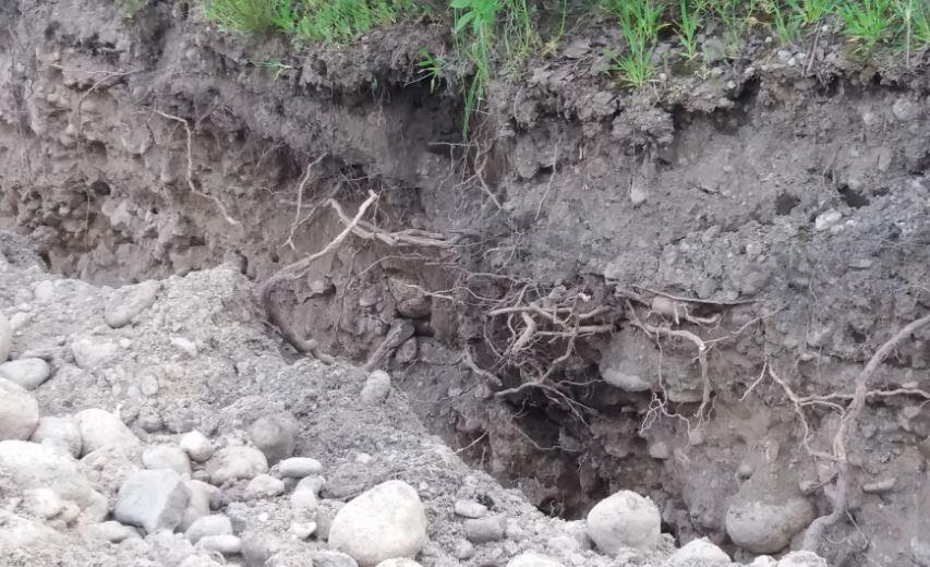 Жители Алматы требуют пересмотреть план перестройки Сайрана. Фото: Экологическое Общество Алматы