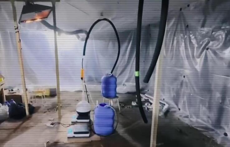 4 өңірде полицейлер есірткі зертханаларының желісін жойды
 