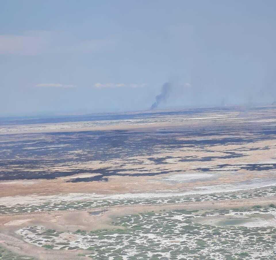 Huge fire engulfs reed beds in Ile Balkhash reserve