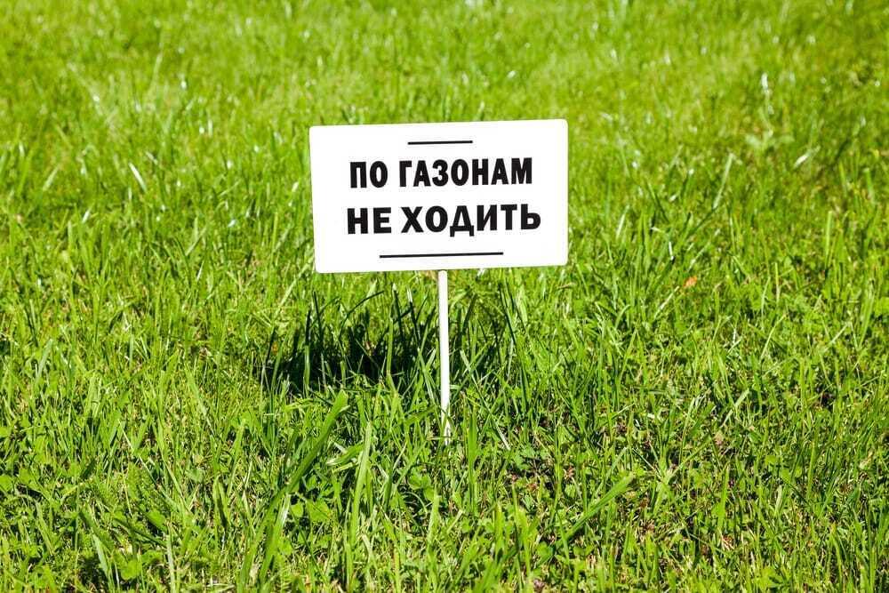 Ходить по газону запрещено: в Ботаническом саду Алматы призвали не нарушать правила посещения 
