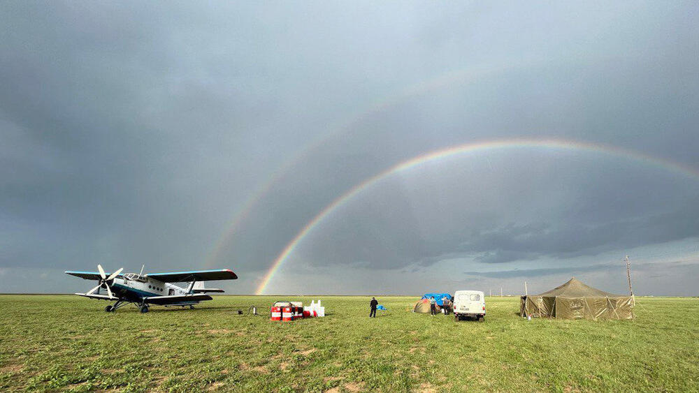 2.8 million hectares treated against locusts