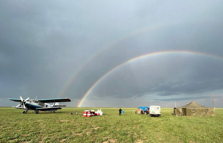 2.8 million hectares treated against locusts