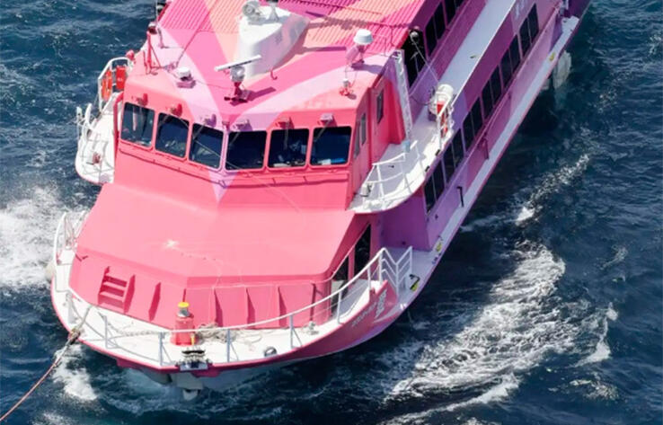 Ferry with over 100 passengers went adrift in waters south of Tokyo