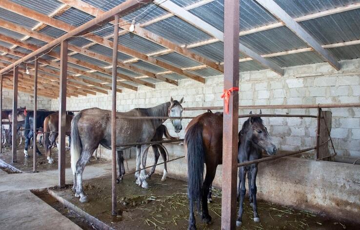 "Auyl Amanaty" in action: villagers of Zhambyl region open production facilities and create new jobs