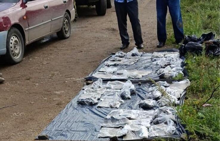 ҚР ҰҚК ресейлік серіктестермен бірлесе отырып ауған есірткі контрабандасының арнасын жойды