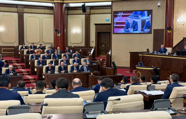 Majilis approves Law on Republican Budget for 2025-2027