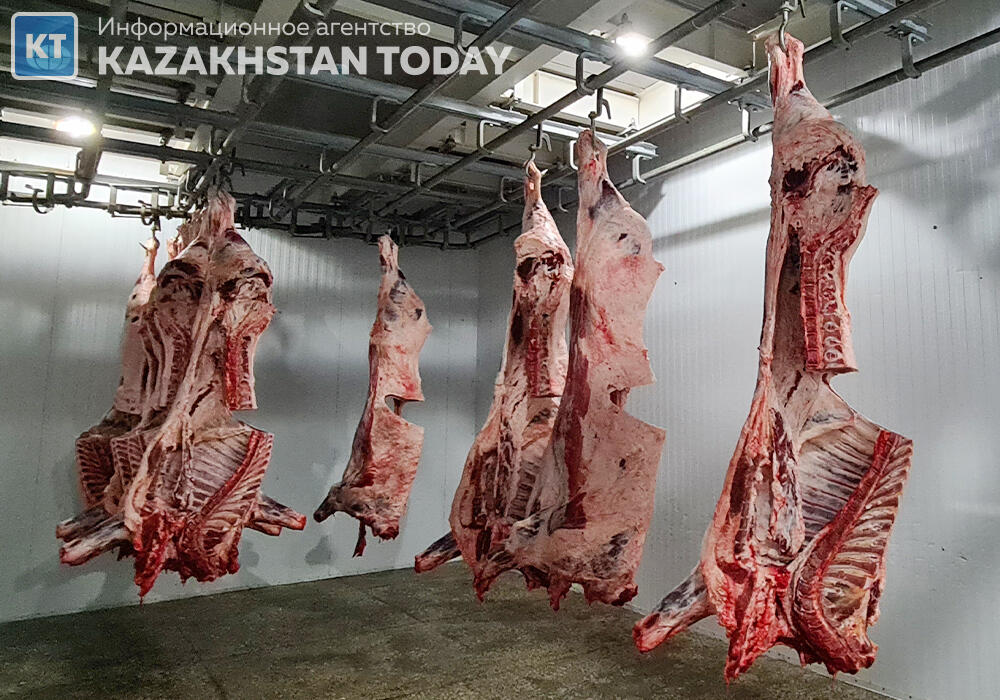 Антисанитария и отсутствие документов: в Астане выявили два незаконных предприятия по реализации мясной продукции

