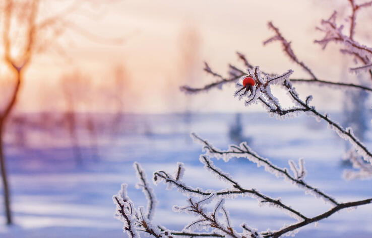 Морозная погода ожидается в Казахстане