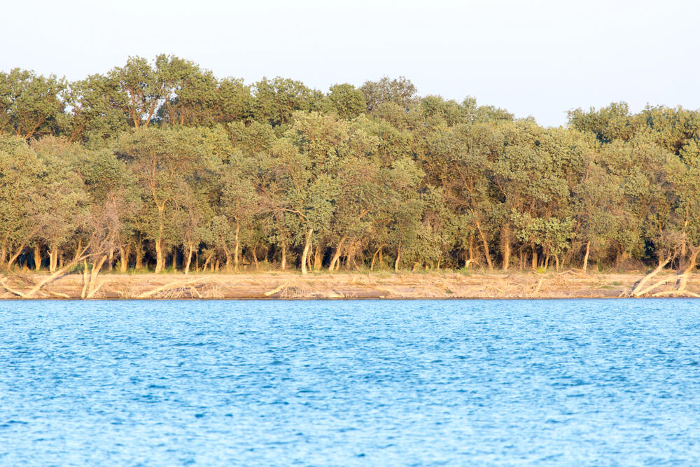16 млрд кубометров воды направит Узбекистан в Казахстан до октября