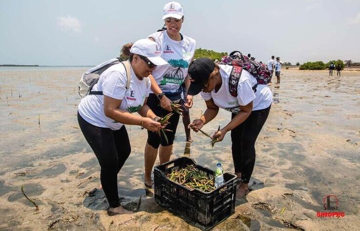 Новая концепция развития Китая стала международным общественным благом