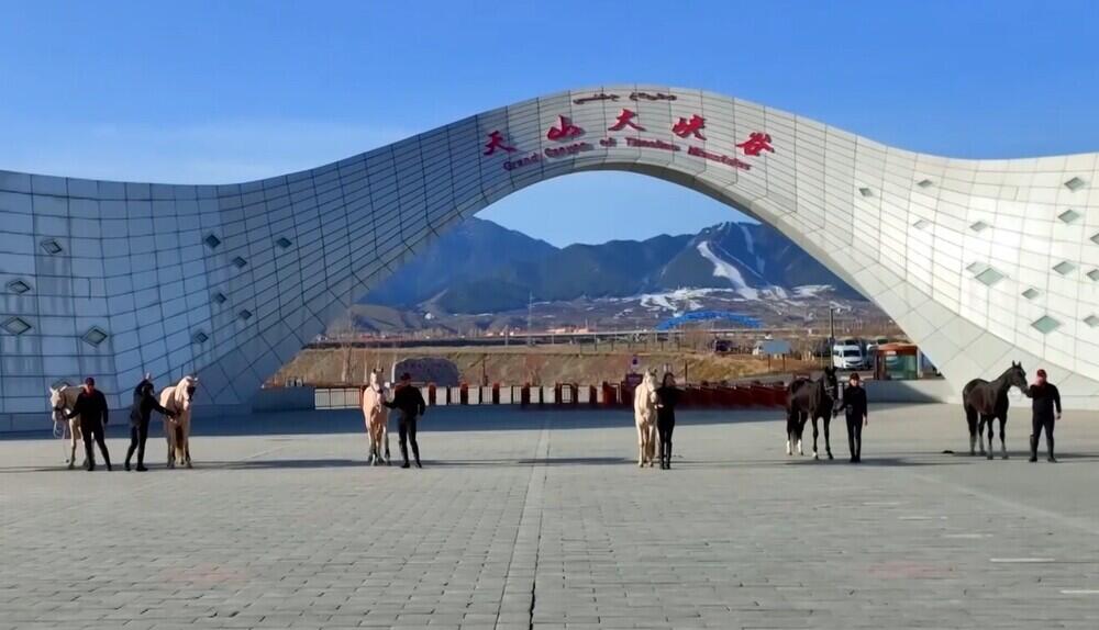 Чэнь Чжифэн: Стать достойным "конюхом" на пути "Один пояс, один путь"