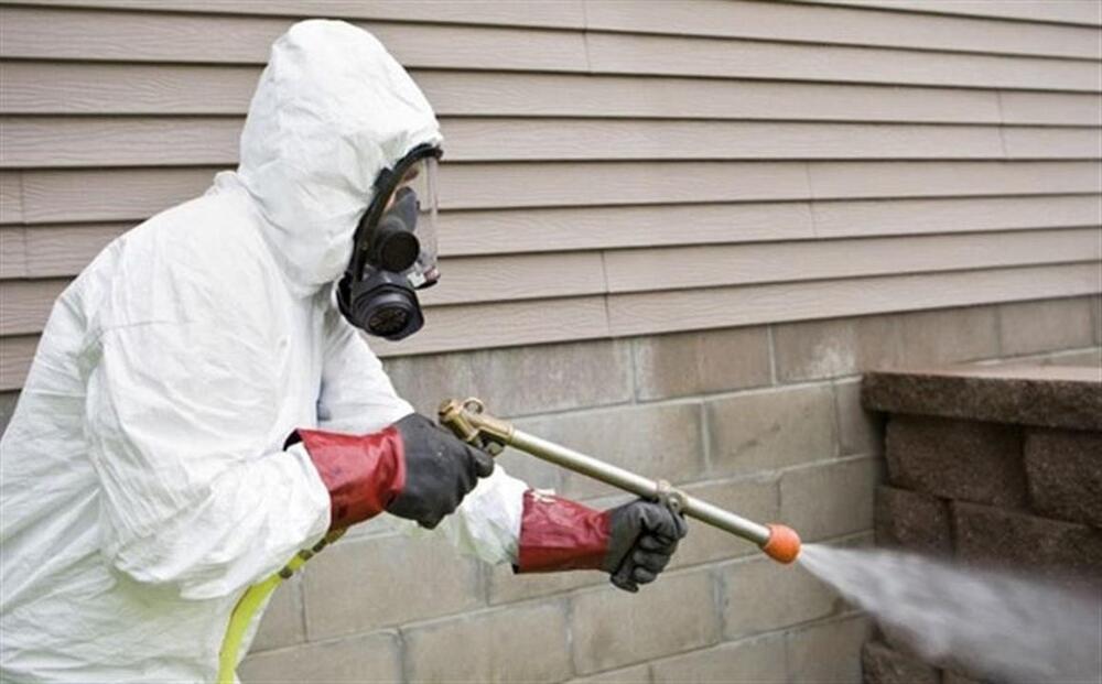 Астанада дератизация жұмысы екі маусымда жүргізіледі