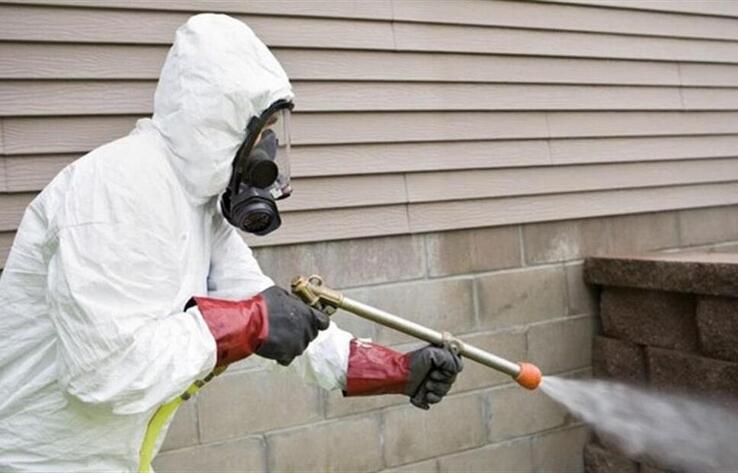 Астанада дератизация жұмысы екі маусымда жүргізіледі