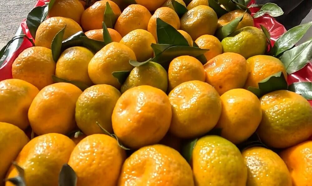 Азербайджанский бизнесмен Ниязи и его "Фруктовый" Шелковый путь