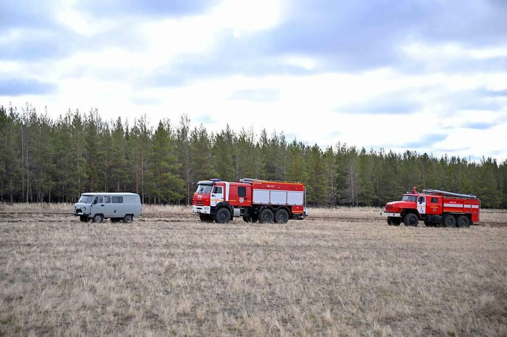 Природный пожар в "Семей орманы" полностью потушен 