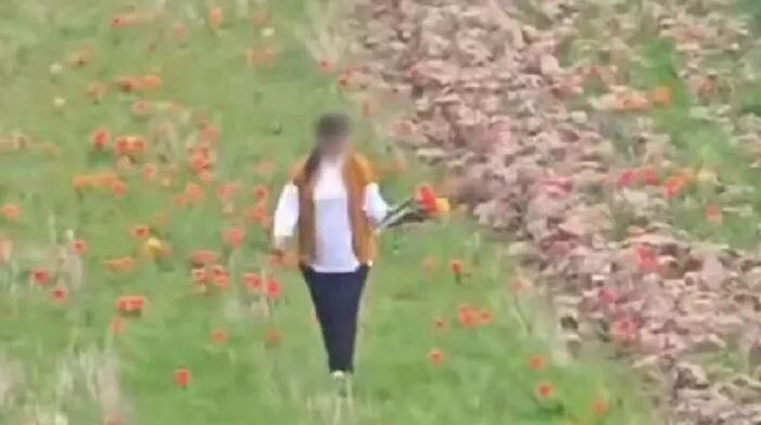 Жительнице Шымкента грозит штраф почти 12 млн тенге за букет тюльпанов