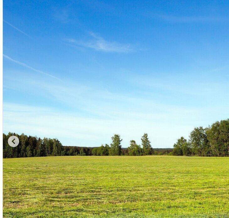 Алматы облысында 17 мың гектарға пайдаланылмай жатқан ауыл шаруашылығы мақсатындағы жерлер мемлекеттік меншікке қайтарылды