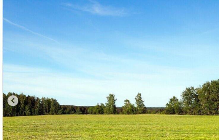 Алматы облысында 17 мың гектарға пайдаланылмай жатқан ауыл шаруашылығы мақсатындағы жерлер мемлекеттік меншікке қайтарылды