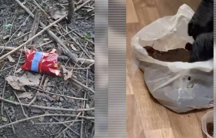 Алматыда есірткінің ірі партиясы тәркіленді: 50 келіден астам гашиш және 700 грамм мефедрон
 